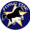 Flying Star Saddlery