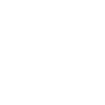 First National Title & Insurance Services, Inc.