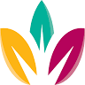 Focus Connect (Macarthur Diversity Services Initiative Ltd T/A)