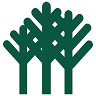 Forest Coach Lines Narrabri