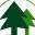 Forest Shipping New York Inc