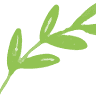Fort Myers Olive Oil Company