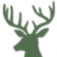 Fortunen