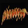 Four Leaves Asian Restaurant