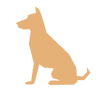 Foxcombe Cat and Dog Boarding