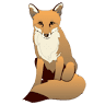 Fox Feed