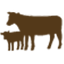Foxhollow Farm