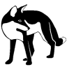 Foxwood Electric - Professional Electrician Toronto