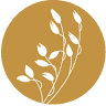 Rachel Oates Family Dental: Rachel Oates, DDS