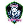 Fransa Gaming