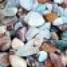 Fred's Rock Shop