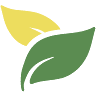 Serele Lolita Company Fresh-Greens