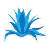 Fresh Agave Mexican Bar & Grill