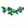 Friede & Lotte
