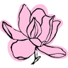 Frk. Magnolia