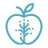 Fruit Tech Campus