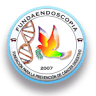 Fundaendoscopia