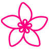 Funky Petals Airdrie