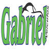 Gabriel Veiculos