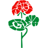 Galiplant