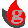 Galisegur S.L.
