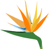 Gardenmasters of SW Fl Inc