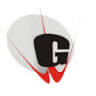 G.D. Goenka International School
