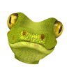 Gecko Pest Control