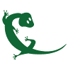Gecko Realty