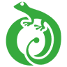 Gecko Rent a Car