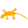 Gecko Solar Energy | Solar Panels