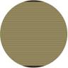 Golden Express LLC