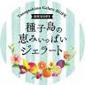 種子島ジェラートHOPE南種子本店