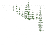 Geneva Lumber Company