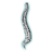 Advanced Interventional Pain Management