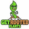 Get Rooted Plant