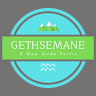 Gethsemane Man-Made Forest