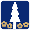 Ghinita