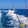 Gina Ann Fishing Charters of Montauk