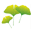 Pharmacie Ginkgo