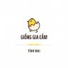 Con giống gia cầm Tình Mai