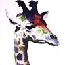 The Giraffe House B&B