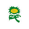 Girassol Peças - Querência