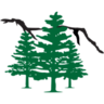 Grand Mesa CPA's LLC
