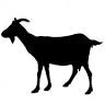 The Goat Restaurant and Whiskey Bar