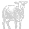 Golden Lamb Skin Studio