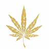 Golden Meds