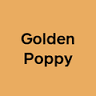 Golden Poppy