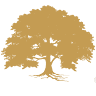 Golden Tree Wealth Partners, LLC.