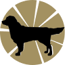 Goldpet • Pombal